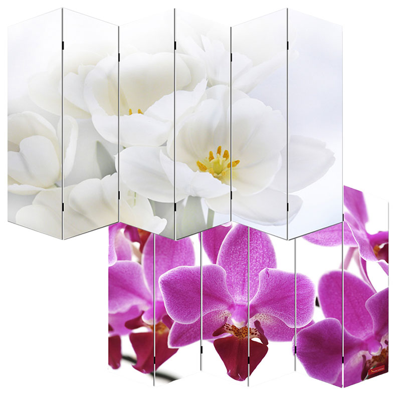 Designový paravan WH orchidei 240x180 cm (6-dílný)