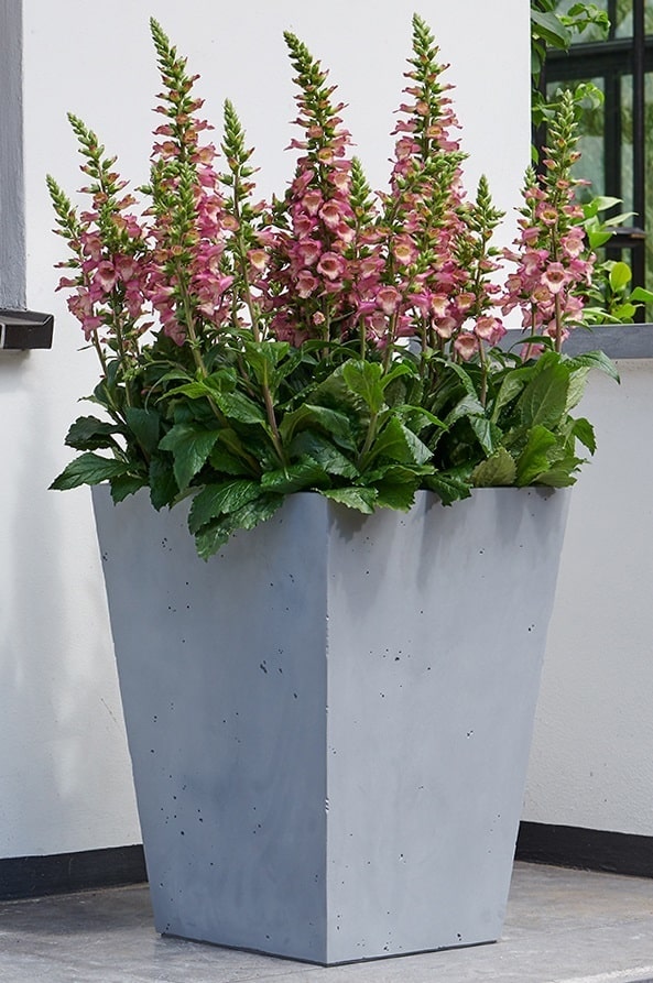 Květináč BETON CONIC 40x40cm Stewart