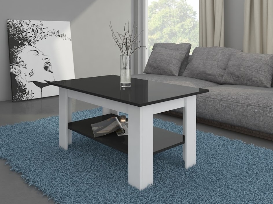 Konferenční stolek ELAIZA, bílá/černý lesk