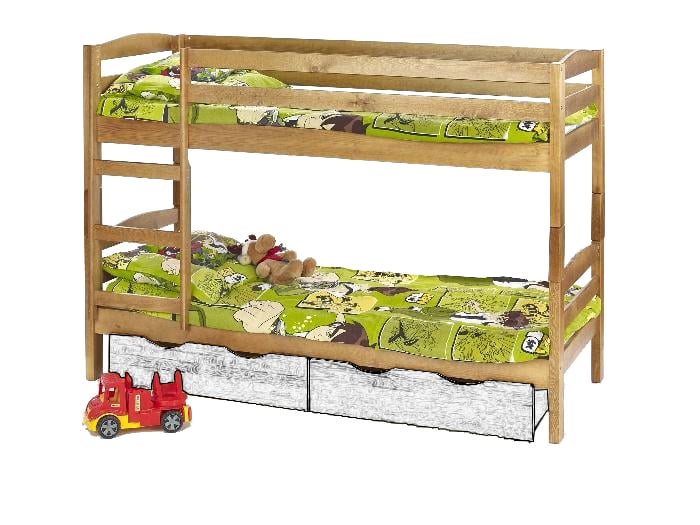 Palanda SAMM, borovice