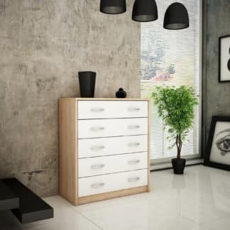 Komoda AGNES/HIT 5S, dub sonoma/bílá