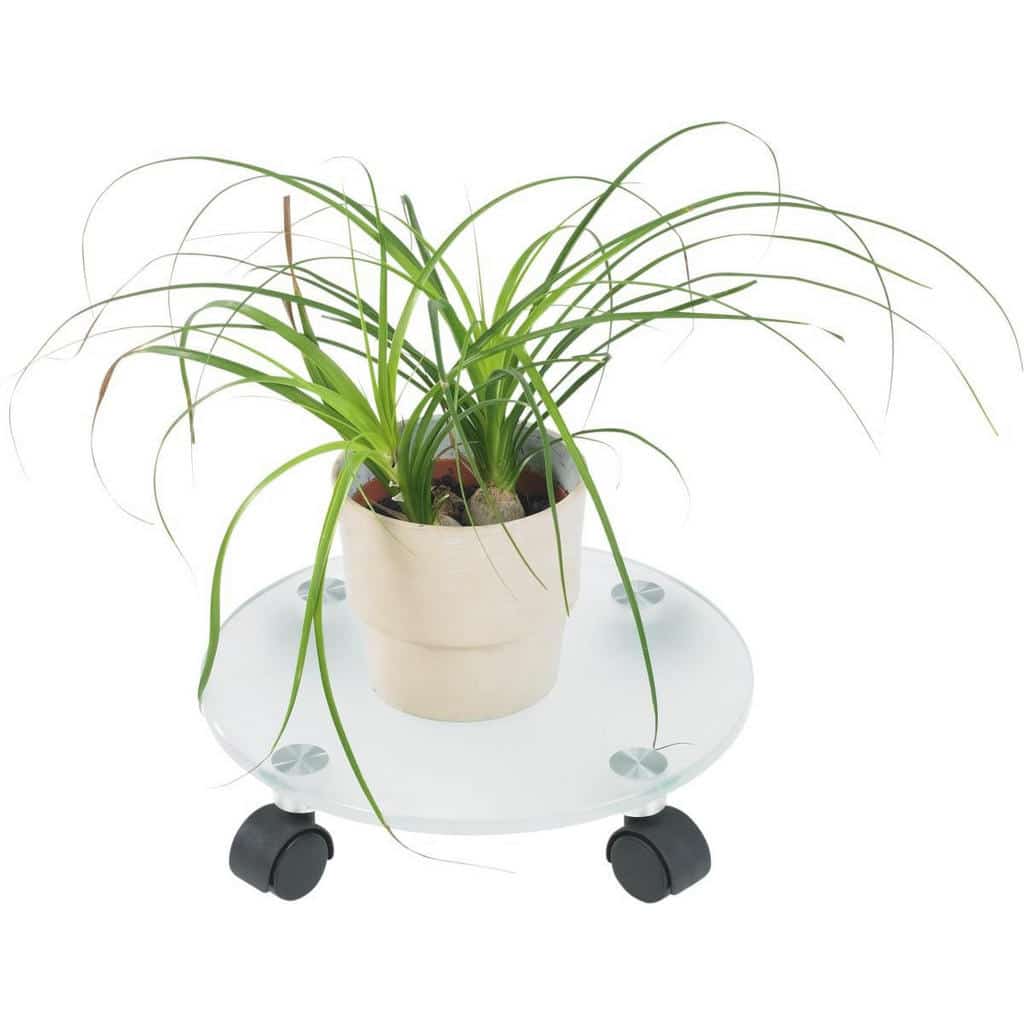 XXXLutz Pojízd. Podstavec Pod Květináč Boxxx