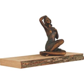 XXXLutz Police Nástěnná Dub Přírodní Barvy Barvy Dubu